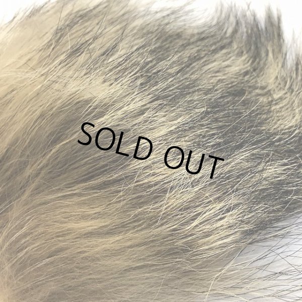 画像3: 【CANAL】 WOLF (3)