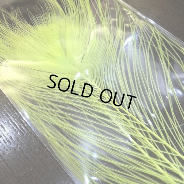 画像3: 【CANAL】 WHITE PEACOCK EYE ダイドカラー (3)