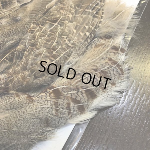 画像3: 【CANAL】 Hungarian Partridge Complete (3)