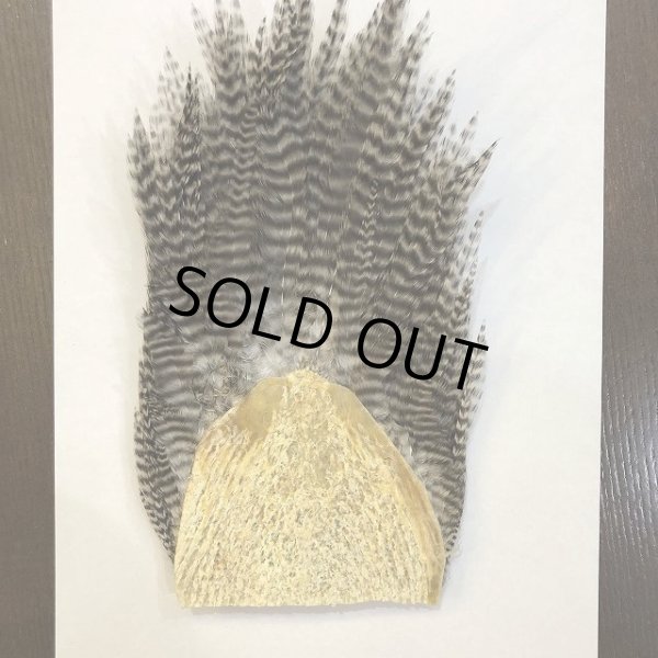 画像6: 【CANAL】 ラージハックル (6)