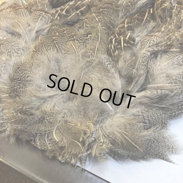 画像2: 【CANAL】 Hungarian Partridge Complete (2)