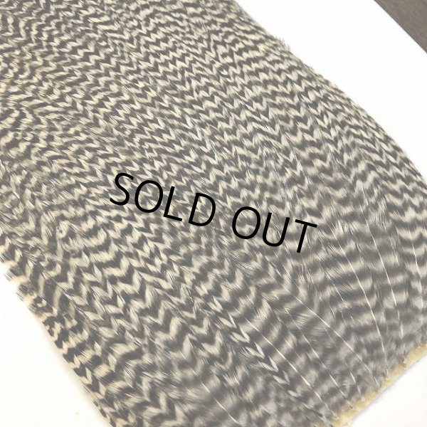 画像4: 【CANAL】 ラージハックル (4)