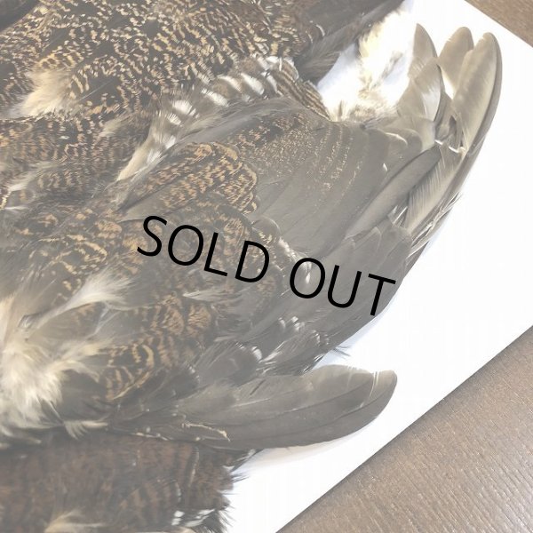 画像4: 【CANAL】 GROUSE COMPLETE (4)