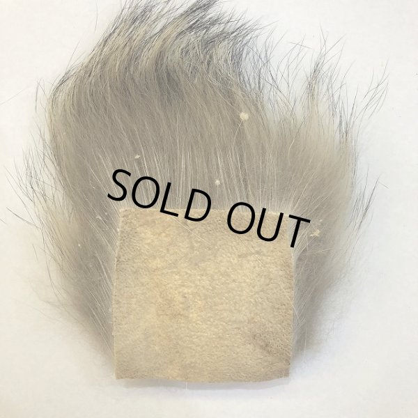 画像2: 【CANAL】 WOLF (2)