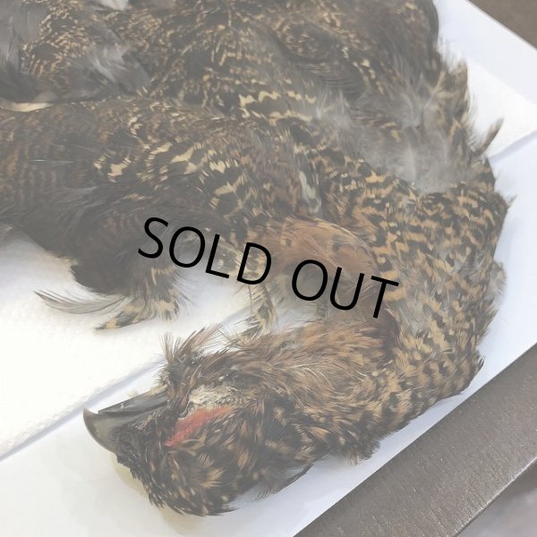 画像2: 【CANAL】 GROUSE COMPLETE (2)