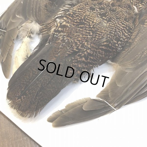 画像5: 【CANAL】 GROUSE COMPLETE (5)