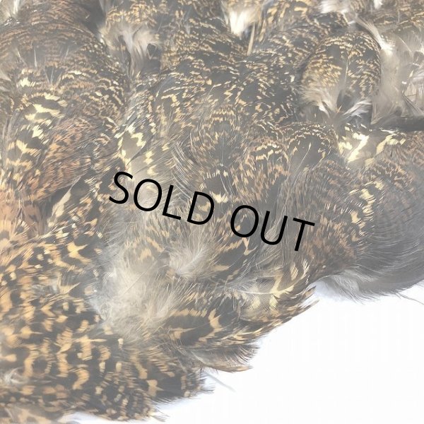 画像3: 【CANAL】 GROUSE COMPLETE (3)