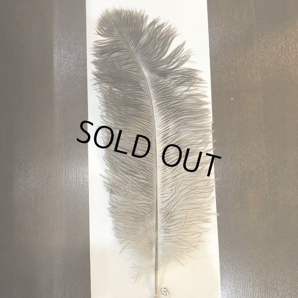 画像6: ナチュラルオーストリッチ(特大) (6)