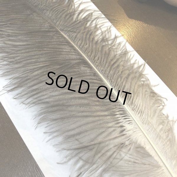 画像3: ナチュラルオーストリッチ(特大) (3)