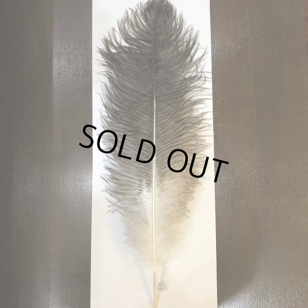 画像4: ナチュラルオーストリッチ(特大) (4)