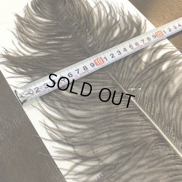 画像2: ナチュラルオーストリッチ(特大) (2)