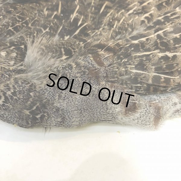 画像3: パートリッジコンプリートスキン（特価） (3)