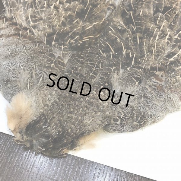 画像2: パートリッジコンプリートスキン（特価） (2)