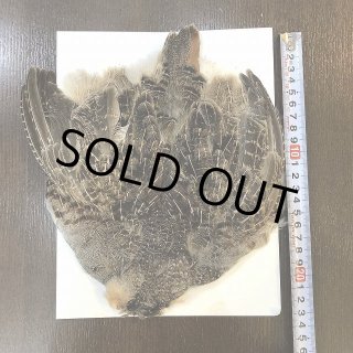 パートリッジコンプリートスキン（特価）