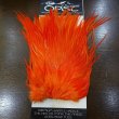 画像4: 【OPST】 Premium Saddle Hackle (SALE) (4)