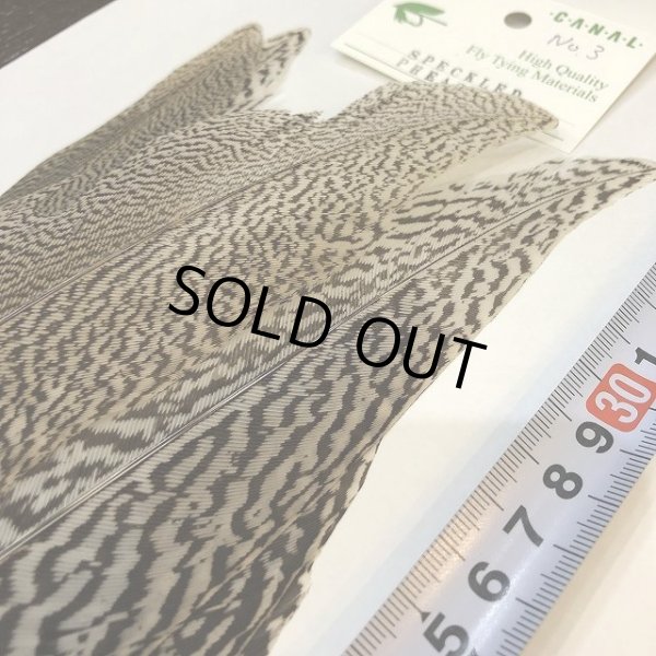 画像3: 【CANAL】 Speckled Pheasant コンプリートテール L (No.3) (3)