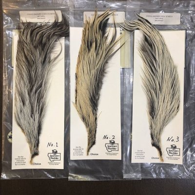 画像1: 【Spencer'sHackles】 1/2 Cock Neck Choise Badger #3 (SALE)