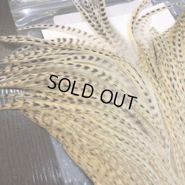 画像3: 【Spencer'sHackles】 Spencer Hackle Cock Neck Select Natural #2 (SALE) (3)