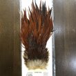 画像1: 【Spencer'sHackles】 Cock Saddle Extra Select Brown #1 (SALE) (1)