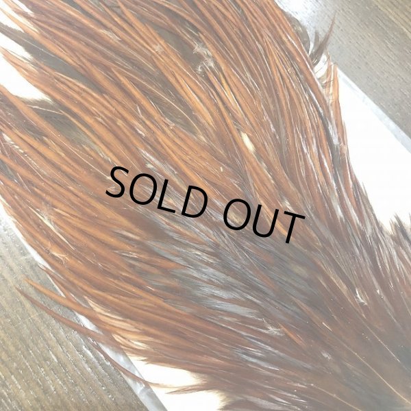 画像2: 【Spencer'sHackles】 Cock Saddle Extra Select Brown #1 (SALE) (2)