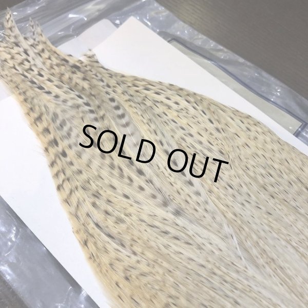 画像2: 【Spencer'sHackles】 Spencer Hackle Cock Neck Select Natural #2 (SALE) (2)