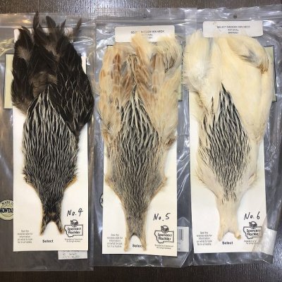 画像2: 【Spencer'sHackles】 SELECT BADGER HEN NECK #2(SALE)