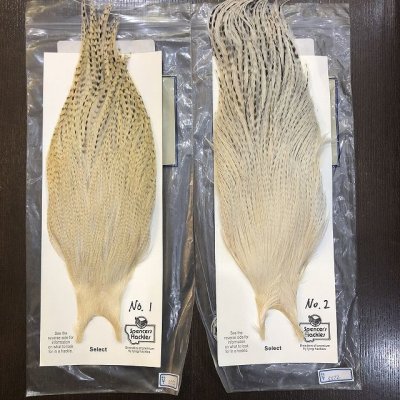 画像1: 【Spencer'sHackles】 Spencer Hackle Cock Neck Select Natural #2 (SALE)