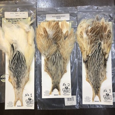 画像1: 【Spencer'sHackles】 SELECT BADGER HEN NECK #2(SALE)