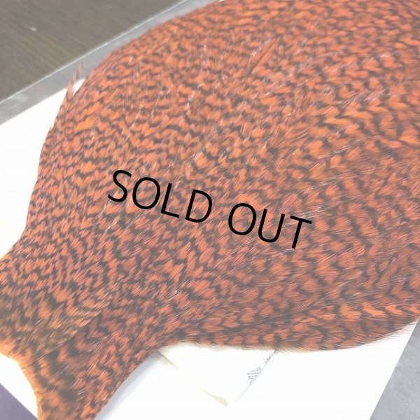 画像3: 【WHITING】AMERICAN ROOSTER CAPE - Grizzly Orange (3)