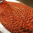 画像2: 【WHITING】AMERICAN ROOSTER CAPE - Grizzly Orange (2)