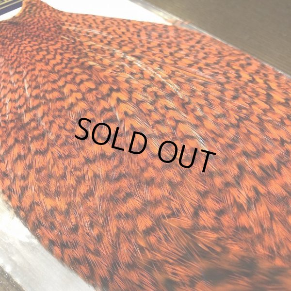 画像2: 【WHITING】AMERICAN ROOSTER CAPE - Grizzly Orange (2)