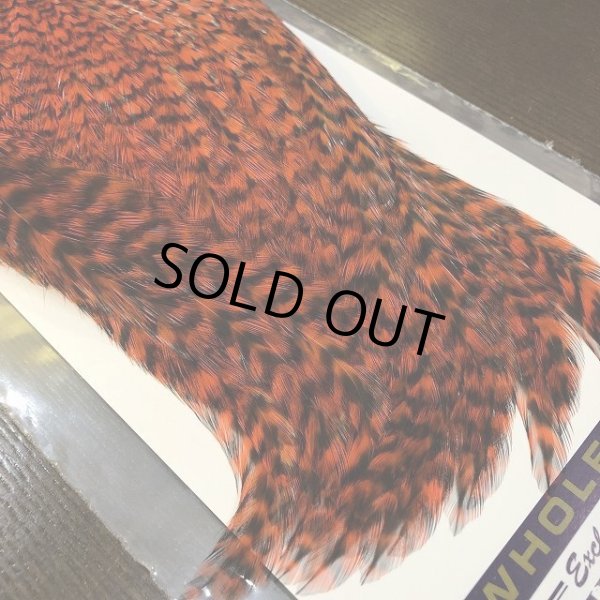 画像4: 【WHITING】AMERICAN ROOSTER CAPE - Grizzly Orange (4)