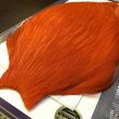 画像4: 【WHITING】AMERICAN ROOSTER CAPE - Orange (4)