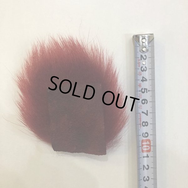 画像3: ポーラーベア オリジナルダイド (3)