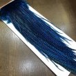 画像3: 【WHITING】 Winger Saddle (3)