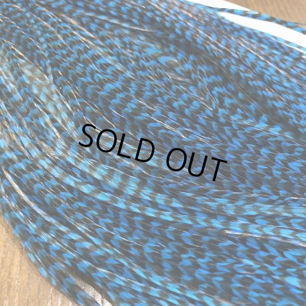 画像5: 【WHITING】 Winger Saddle (5)