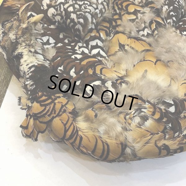 画像2: 【CANAL】 REEVES COCK PHEASANT (2)