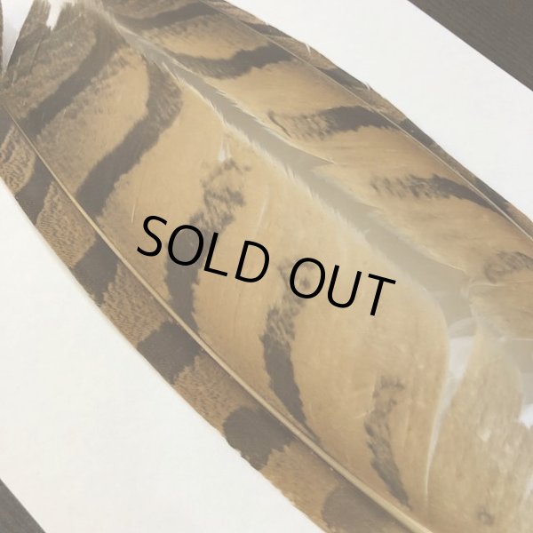 画像2: 【CANAL】 EAGLE OWL Primary L (2)