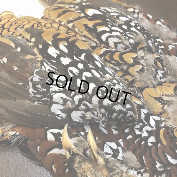 画像4: 【CANAL】 REEVES COCK PHEASANT (4)