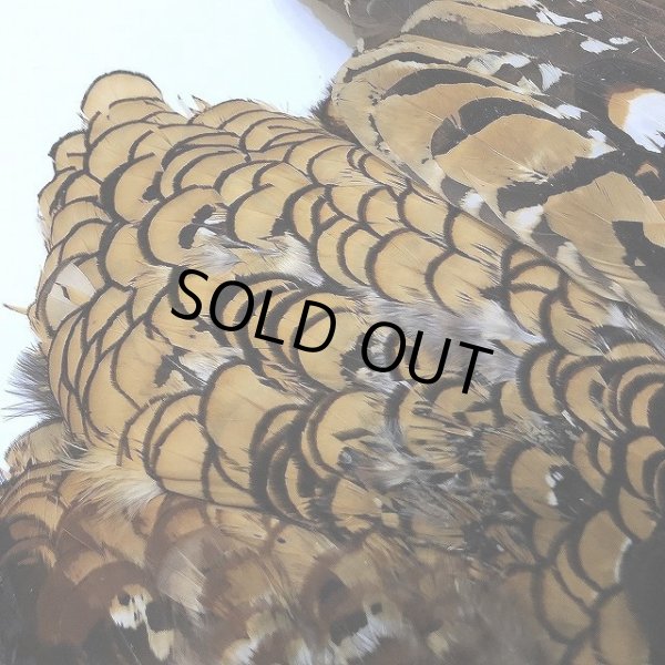 画像5: 【CANAL】 REEVES COCK PHEASANT (5)