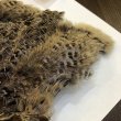 画像4: 【CANAL】 HEN PHEASANT BODYSKIN (4)