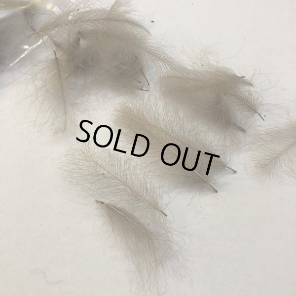 画像2: 【CANAL】 CDC 1gram (2)