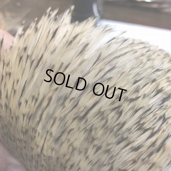 画像5: 【ANGLE】インドコックハックルケープ(グレイバリアント) (5)