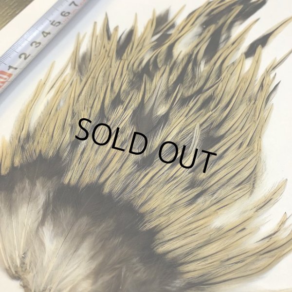 画像3: 【ANGLE】インドコックサドルパッチ(バジャー) (3)