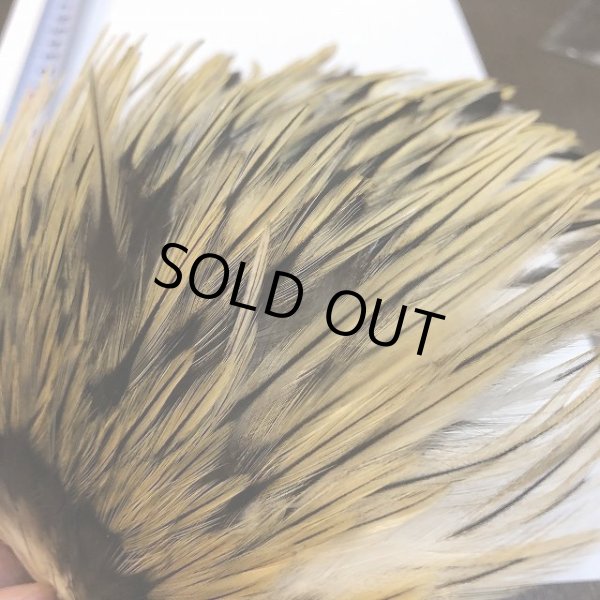 画像5: 【ANGLE】インドコックサドルパッチ(バジャー) (5)