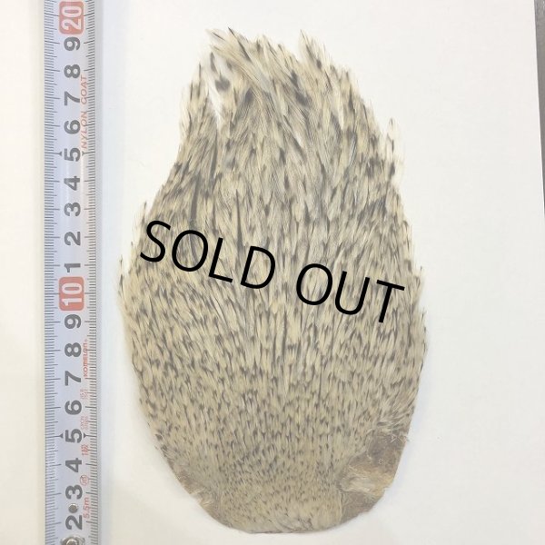 画像2: 【ANGLE】インドコックハックルケープ(グレイバリアント) (2)