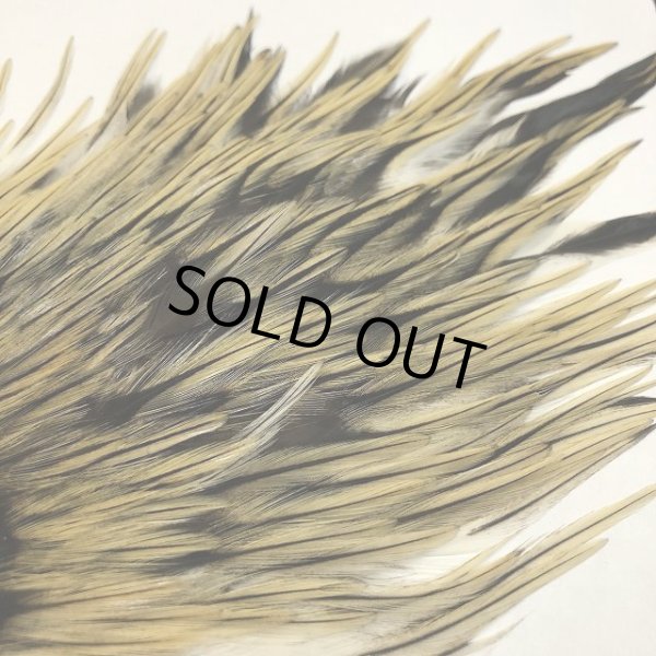 画像4: 【ANGLE】インドコックサドルパッチ(バジャー) (4)