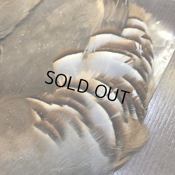 画像3: フレンチパートリッジ コンプリート (3)