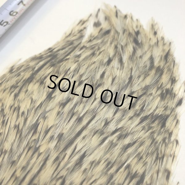 画像4: 【ANGLE】インドコックハックルケープ(グレイバリアント) (4)