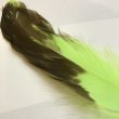 画像5: 【CANAL】 EAGLE HACKLE (5)